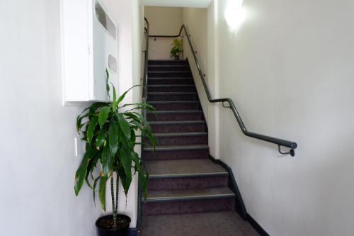 Entrance stairs